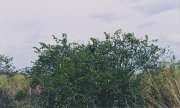 012-Everglades National Park